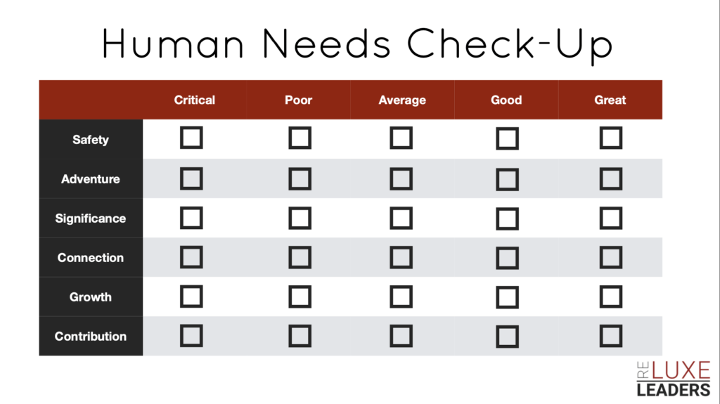 Human Needs Check-Up worksheet with six rows and five satisfaction columns.